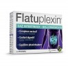Комплекс от вздутия живота Flatu Plexin 16 пакетиков