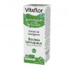 Экстракт Почек Берёзы Бородавчатой NATURGEM Bouleau Extrait de Bourgeons VITAFLOR 15 мл