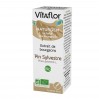Экстракт почек сосны обыкновенной Vitaflor Pin Sylvestre 15 мл