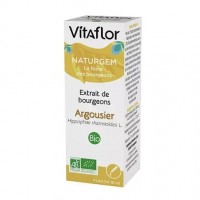 Экстракт почек облепихи Vitaflor Bourgeon 15 мл