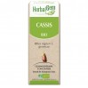 Концентрат черной смородины Herbalgem Gemmotherapie Cassis Bio 30 мл