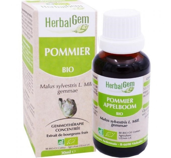 Концентрат яблочных почек Pommier Gemmo Concentré BIO d’HERBALGEM 30 мл