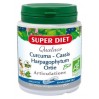 Комплекс для суставов QUATUOR Articulations Curcuma Cassis SUPER DIET
