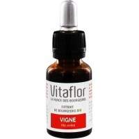 Экстракт почек винограда Vitaflor Vigne 15 мл